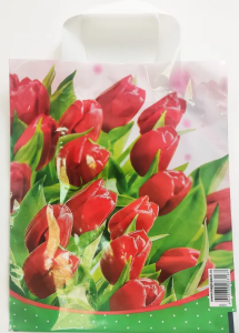 Пакет с петл.ручкой  25х30 (60) (MagicPack) Для нее Д/25/1000