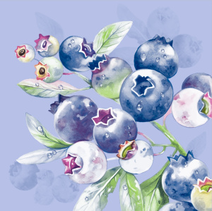 Салфетка 3-сл. 33*33  20л Bouquet Home Collection  Черника.Голубой фон /12пач*кор/25392