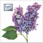Салфетка 3-сл. 24*24  25л Bouquet de Luxe  Сирень /15пач*кор/37443 НОВИНКА