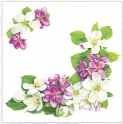 Салфетка 3-сл. 33*33  20л Art Bouquet Яблоневый цветок /12пач*кор/37332