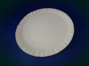 Тарелка картон D=230 (кругл) белая (100/800шт*кор) ПОС22325