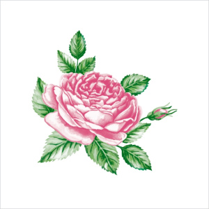 Салфетка 2-сл. 20*20   30л Art Bouquet Прекрасная роза /26пач*кор/57611